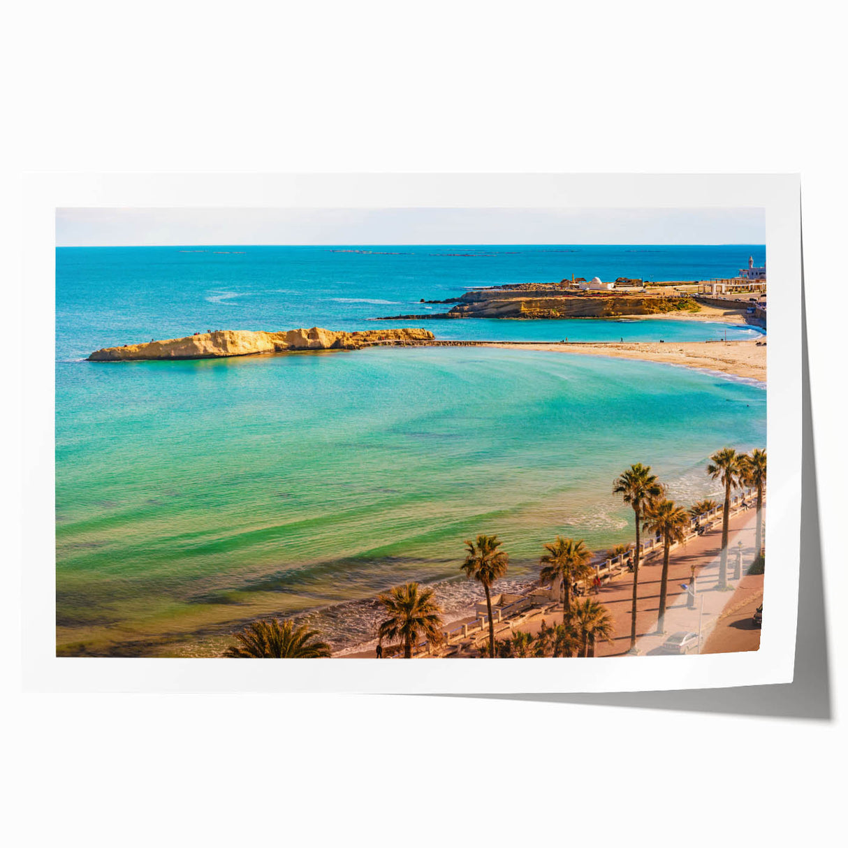 Extra large rolled print featuring a Tunisian landscape with vibrant flora in a range of earth tones.