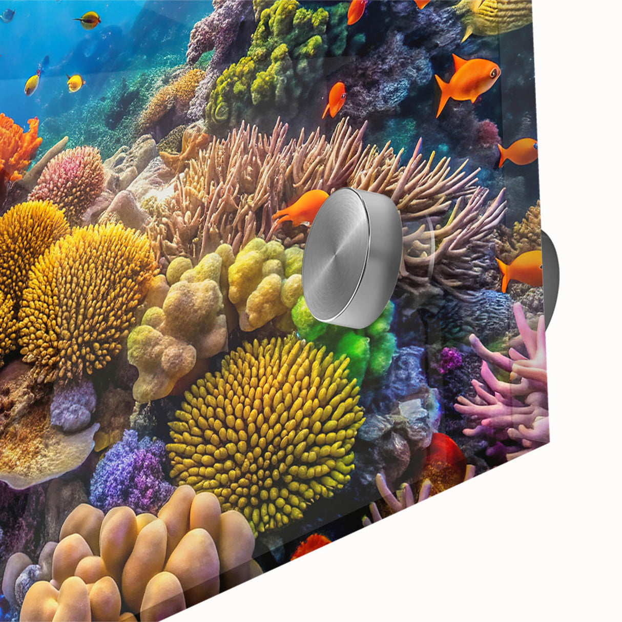 Acrylic print of the Great Barrier Reef in vibrant blue tones, ideal for dining room art in a mid-century modernist style.