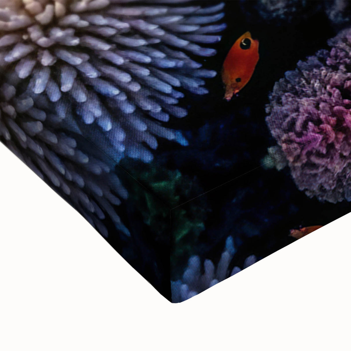 Black and white stretched canvas featuring the Great Barrier Reef landscape, ideal for bedroom wall art.