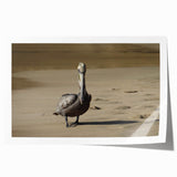 Extra large rolled print of a vibrant Caribbean scene with lush florals.