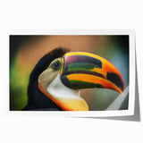 Extra large rolled print of Belize scenery with vibrant green and blue tones, ideal for art wall dining room.