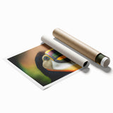 Extra large rolled print depicting a tropical Belize landscape with lush greenery and florals.