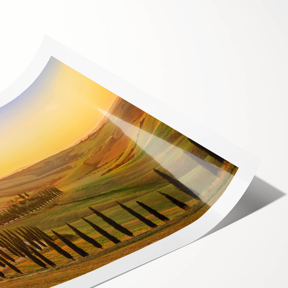 Extra large wall art depicting a Tuscan landscape with line art flowers in muted earth tones on a rolled canvas.