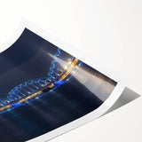 Extra large wall art featuring line art flowers in black on a white background, ideal for large living room wall decor.