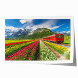 Extra large rolled print depicting vibrant floral scenery in the Netherlands, ideal for art wall dining room.