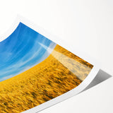 Extra large rolled print featuring line art flowers in soft pastel shades, ideal for large living room wall art.