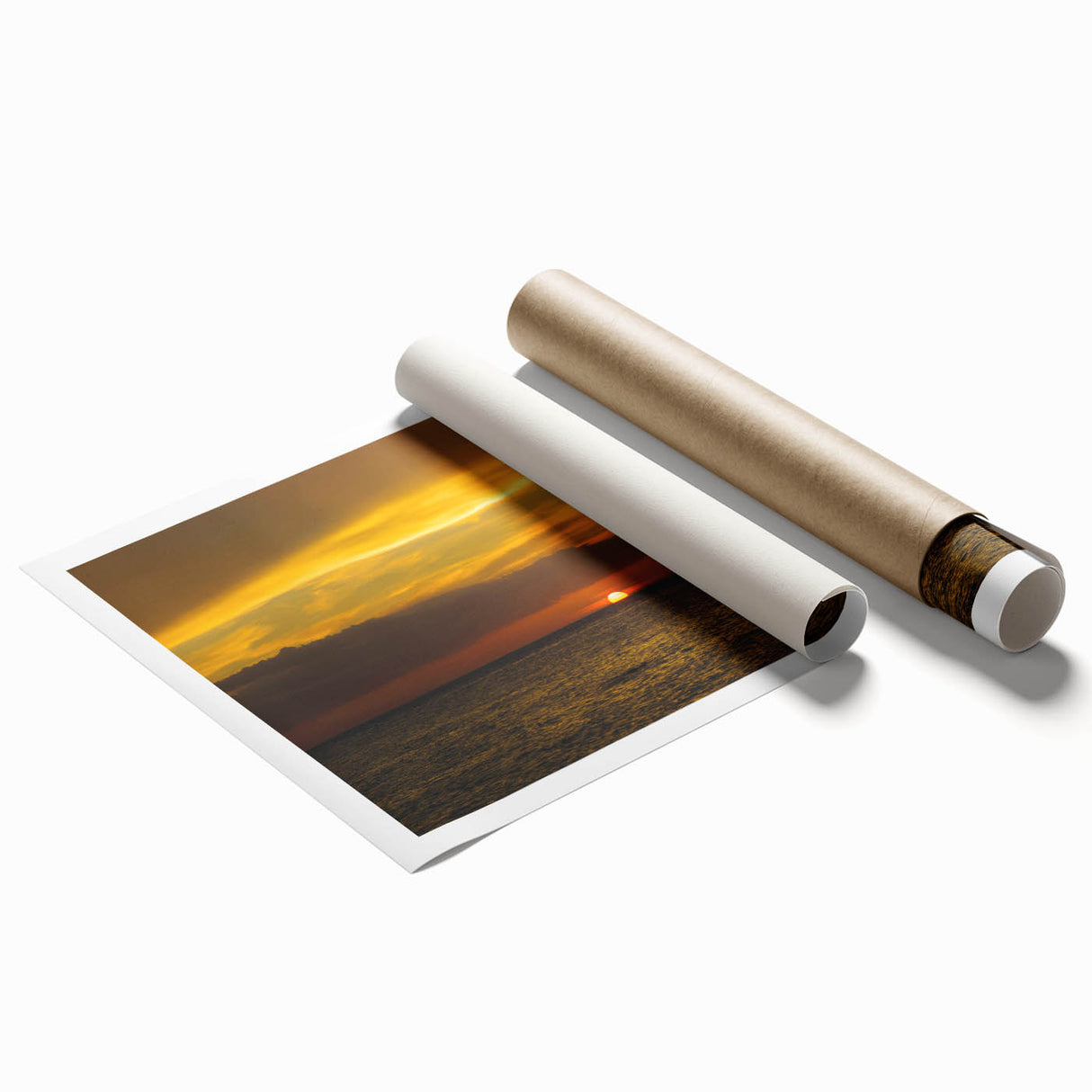 Extra large rolled print of Quintana Roo scenery with vibrant floral elements, ideal for classy bathroom wall art.