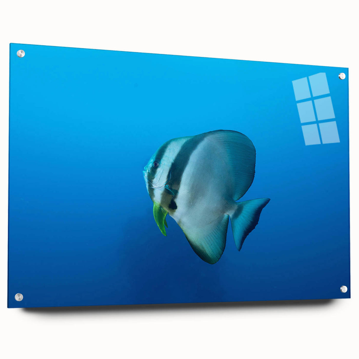 Large abstract wall art of Micronesian scenery on acrylic glass, featuring blue and green tones.