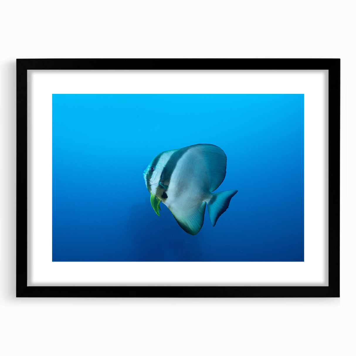 Abstract art print featuring vibrant colors and textured design on a large canvas, ideal for living room decor.