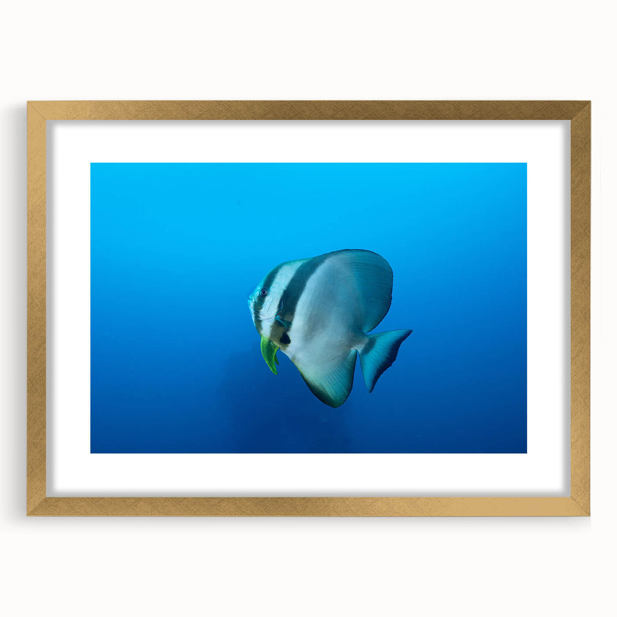 Extra large abstract art print of a textured oceanic scene in a gold frame, ideal for living room decor.