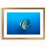 Extra large abstract art print of a textured oceanic scene in a gold frame, ideal for living room decor.