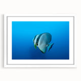 Abstract art print of Micronesian scenery in muted blue and green tones on a white-framed canvas.