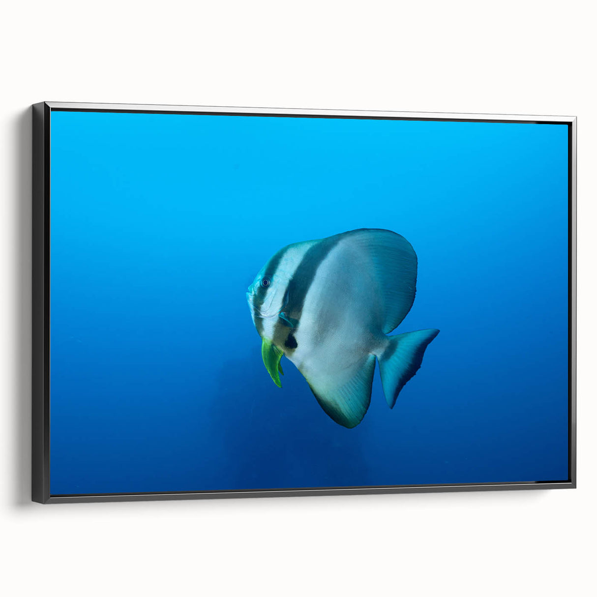 Black and white framed canvas of a Micronesian landscape, ideal for bedroom wall decor.
