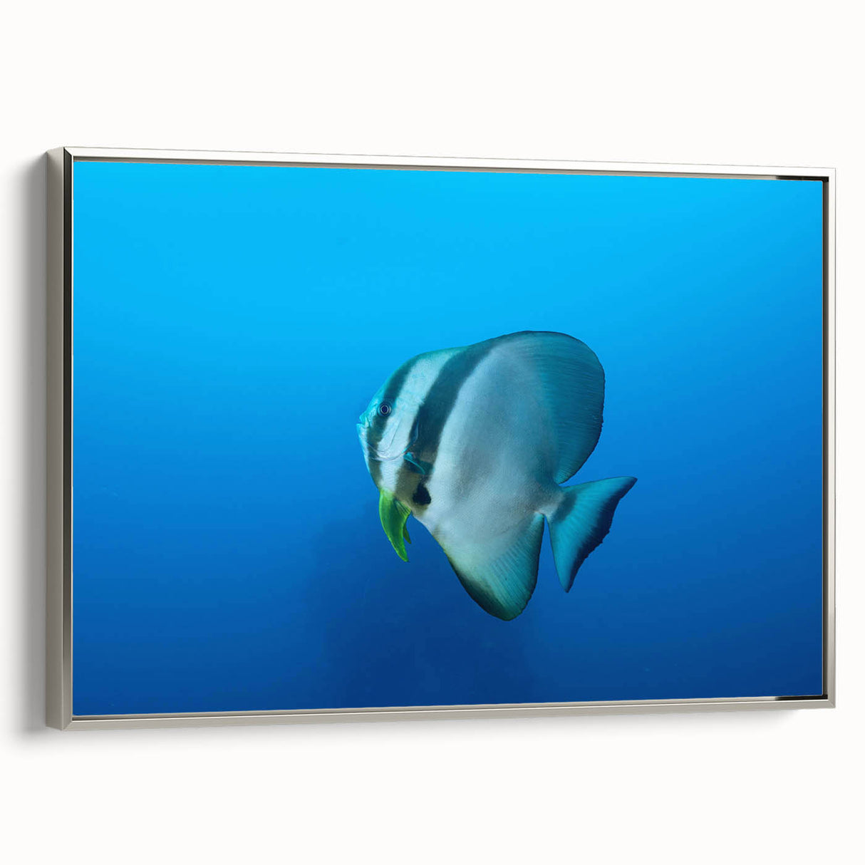 Landscape painting of Micronesia with vibrant colors on a silver-framed canvas.