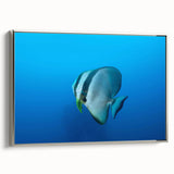 Landscape painting of Micronesia with vibrant colors on a silver-framed canvas.