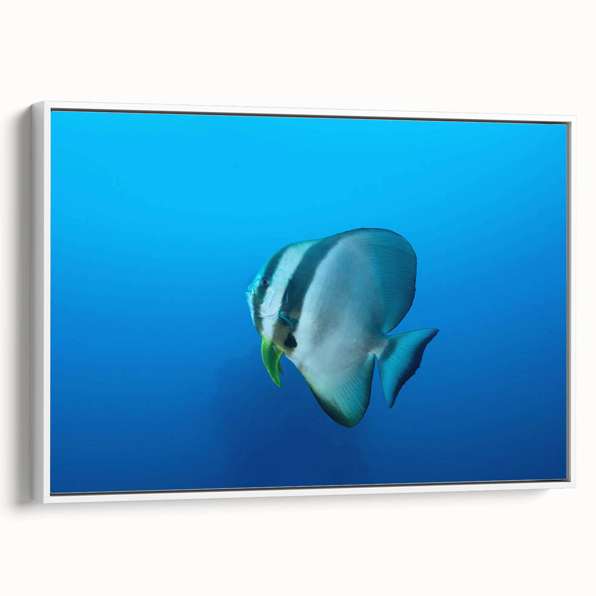 Vintage poster art of Micronesia with colorful, abstract design on a framed canvas, ideal for living room decor.