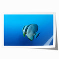 Extra large rolled print of Micronesian ocean scenery with vibrant blue and green hues, ideal for dining room wall art.