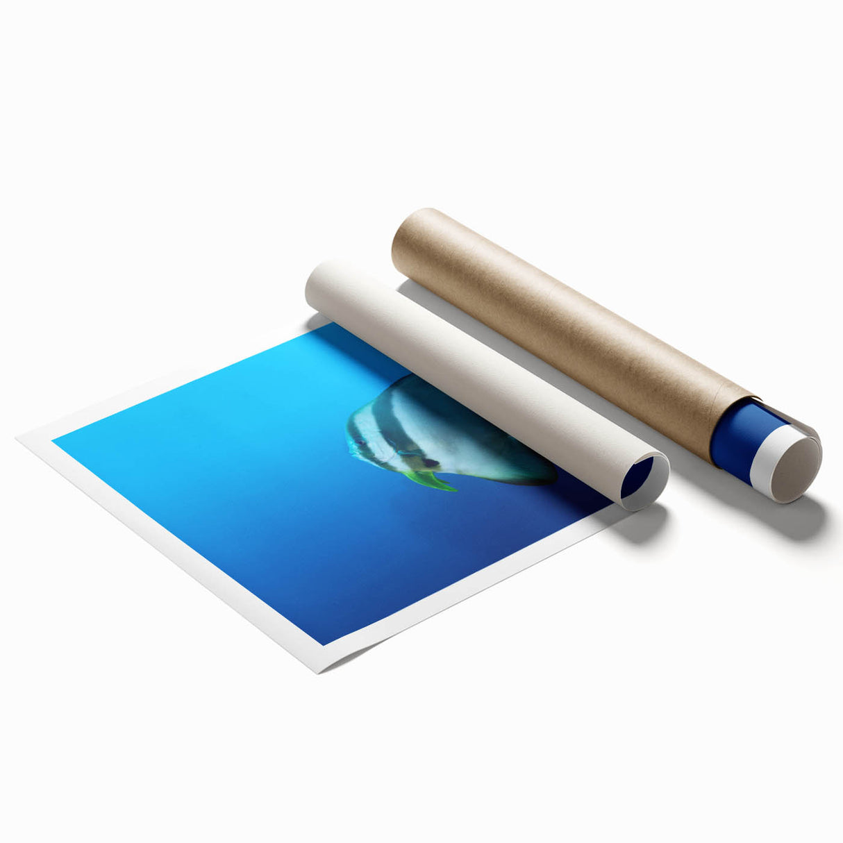 Extra large rolled print featuring a serene Micronesian ocean scene with soft blue and green tones.