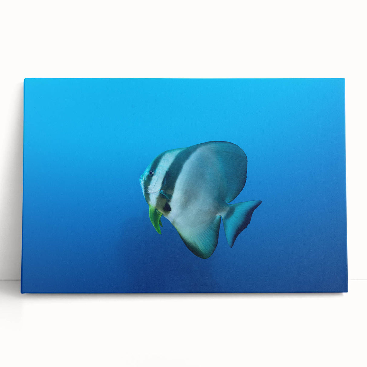 Black and white stretched canvas of Micronesian oceanic scenery, ideal for kitchen wall art or bedroom ambiance.