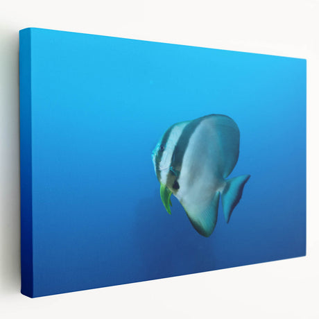 Side view of a stretched canvas featuring a serene Micronesian oceanic landscape, ideal for kitchen wall art.