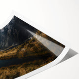 Extra large wall art featuring line art flowers and floral designs in neutral tones on a rolled canvas.