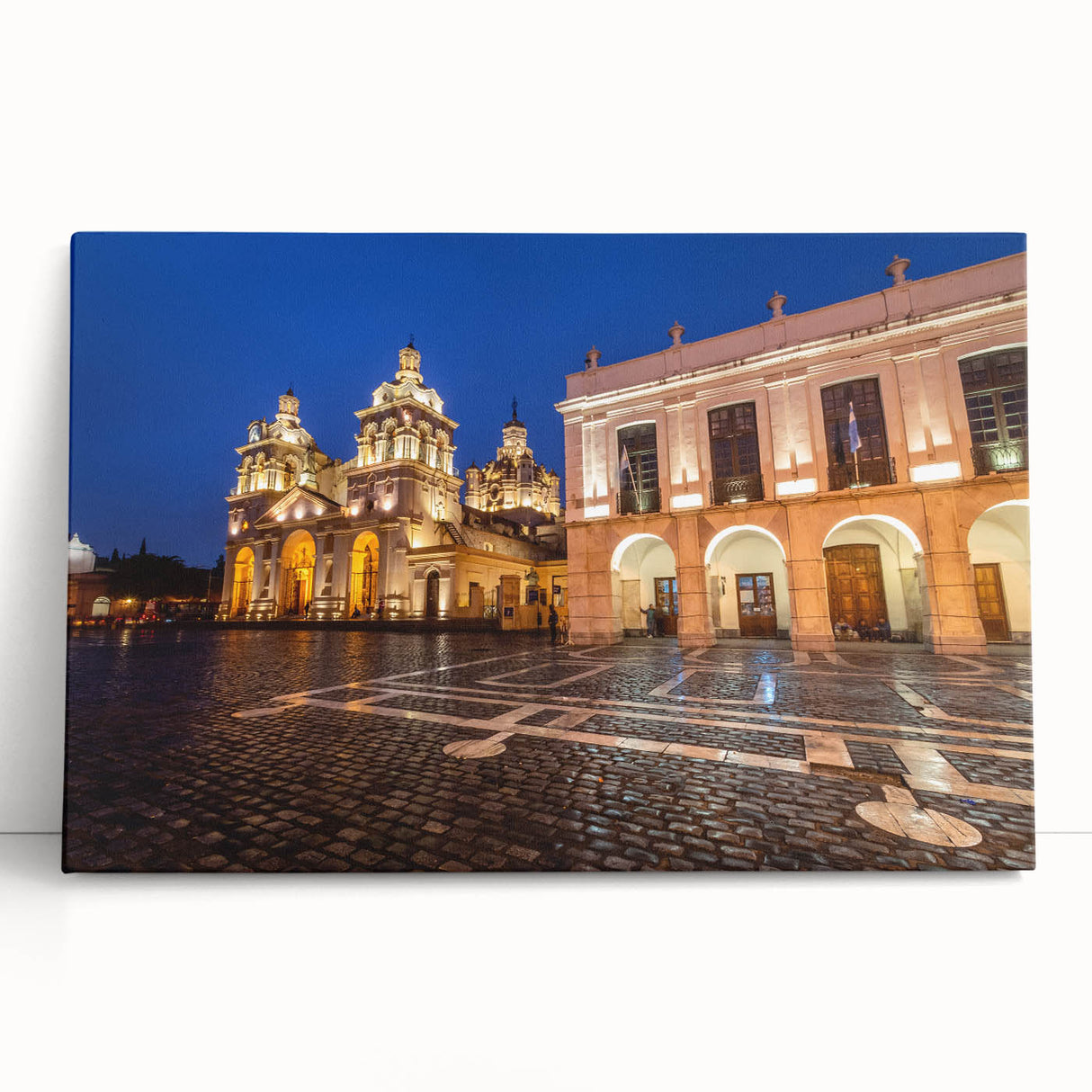 Black and white stretched canvas featuring an Argentine landscape, ideal for kitchen wall art or bedroom decor.