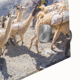 Large abstract wall art depicting a Bolivian landscape in muted earth tones on acrylic glass, suitable for dining room decor.