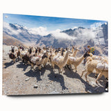 Acrylic print of a Bolivian landscape in earthy tones, suitable for bedroom or dining room decor.