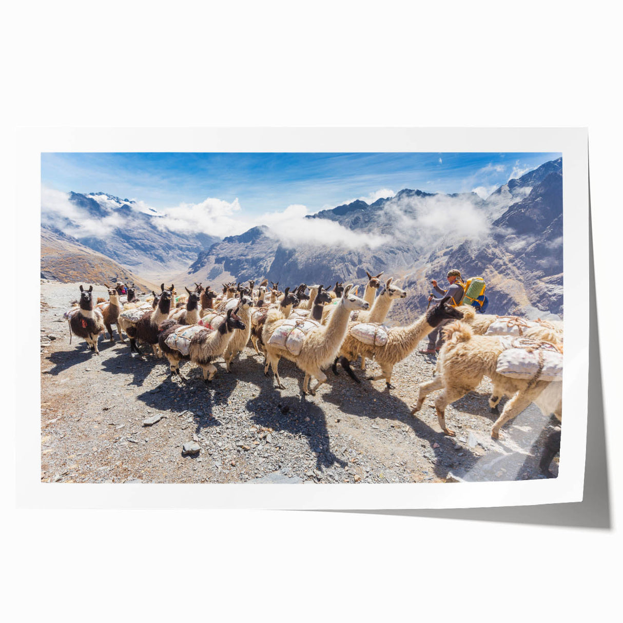 Extra large rolled print of a Bolivian landscape, featuring vibrant green and earth tones, ideal for art wall dining room.