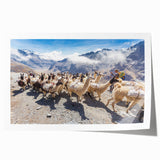 Extra large rolled print of a Bolivian landscape, featuring vibrant green and earth tones, ideal for art wall dining room.