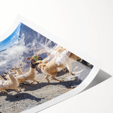 Extra large rolled print featuring line art flowers in muted earth tones, ideal for large living room wall art.