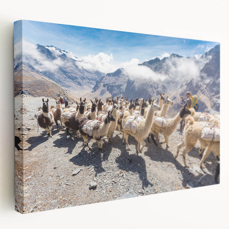 Large canvas print of a Bolivian landscape in earthy tones, ideal for kitchen wall art.