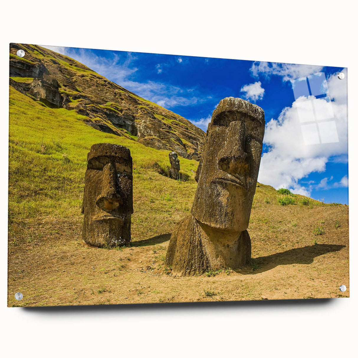Acrylic print of a large abstract depiction of a South American scenery in earth tones.