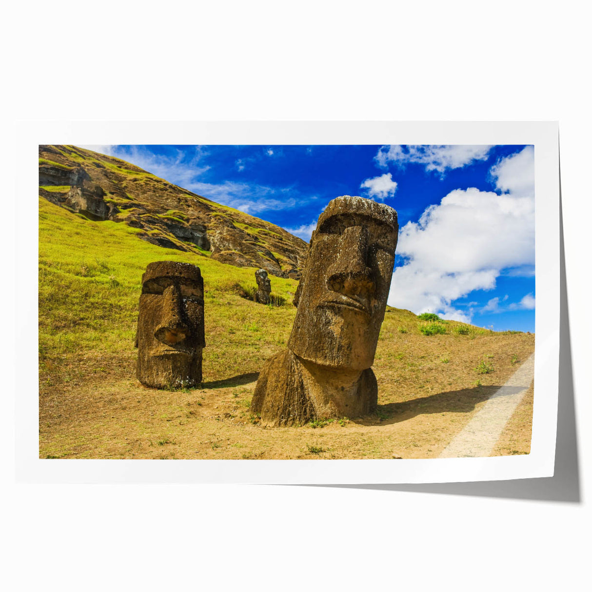 Extra large rolled canvas print of a vibrant floral scene in Chile, ideal for art wall dining room.