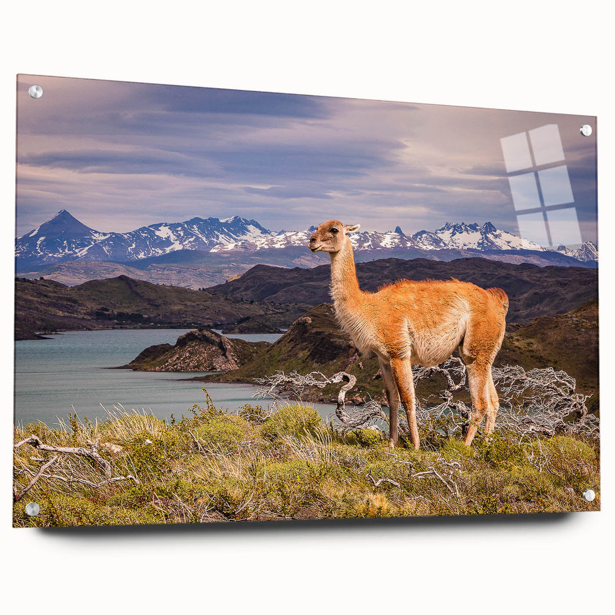 Acrylic glass print of a large abstract depiction of a South American scenery in earthy tones.