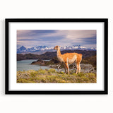 Abstract art print of a colorful South American landscape, in a large black frame with mat, suitable for living room decor.