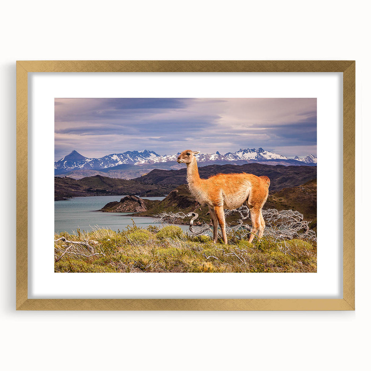 Extra large abstract art print of a textured South American scenery in gold frame, ideal for living room decor.