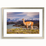 Textured abstract art print of a Peruvian landscape in muted earth tones on a framed silver mat, ideal for bedroom art.