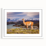 Abstract art print of a South American landscape in muted earth tones on a white framed canvas.