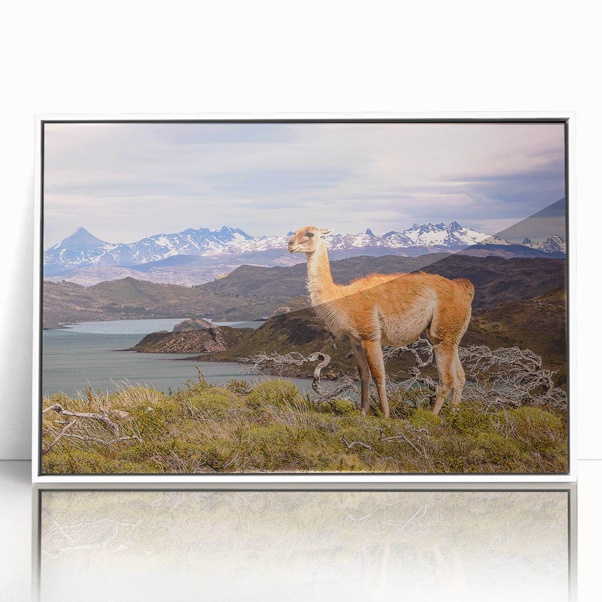 Acrylic print of a Peruvian landscape in pastel shades, framed in white, ideal for modern art wall decor.