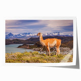 Extra large rolled print of a Peruvian landscape, featuring floral motifs in vibrant colors, ideal for dining room wall art.