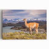 Black and white stretched canvas featuring a scenic view of Machu Picchu, ideal for kitchen wall art.