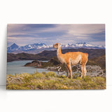 Black and white photo of Machu Picchu on large stretched canvas, ideal for kitchen wall art.