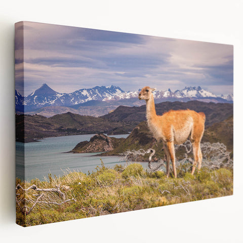 Large stretched canvas depicting a scenic view of a Peruvian landscape, in earthy tones, ideal for kitchen wall art.