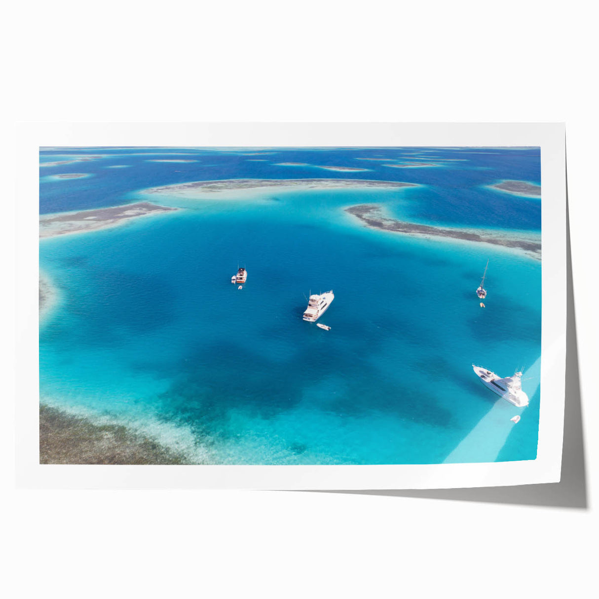 Extra large rolled print depicting a vibrant floral scene in South America, ideal for art wall dining room.