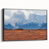 Black and white framed canvas of Denali, Alaska landscape, ideal for bedroom wall art.