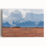 Black and white stretched canvas of Denali, Alaska landscape, ideal for kitchen wall art.