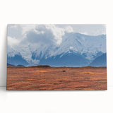 Black and white image of Denali, Alaska on a stretched canvas, suitable as kitchen wall art or for bedroom ambiance.