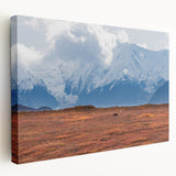 Large stretched canvas featuring a realistic depiction of Denali National Park in Alaska, with subdued earth tones.