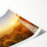 Extra large wall art featuring line art flowers in soft pastel shades on a rolled canvas.